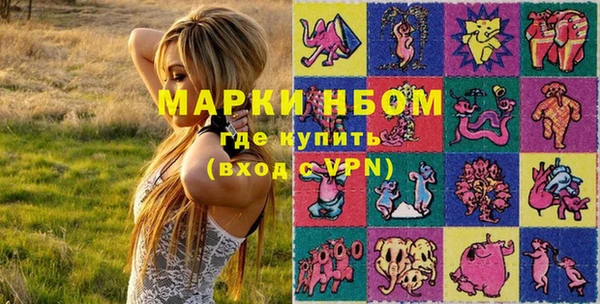 мет Алексин