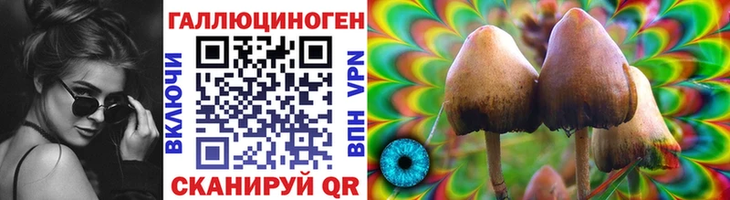 где купить наркоту  Цоци-Юрт  Псилоцибиновые грибы MAGIC MUSHROOMS 